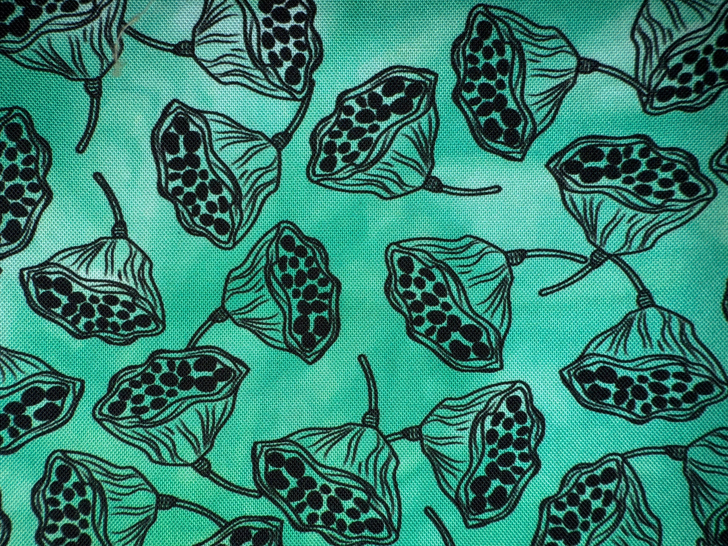 SEED PODS - overdye black print - FUNHOUSE COLLECTION - 4 colors