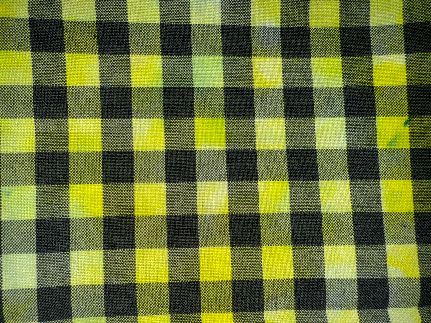 GINGHAM - overdye black print - 8 colors