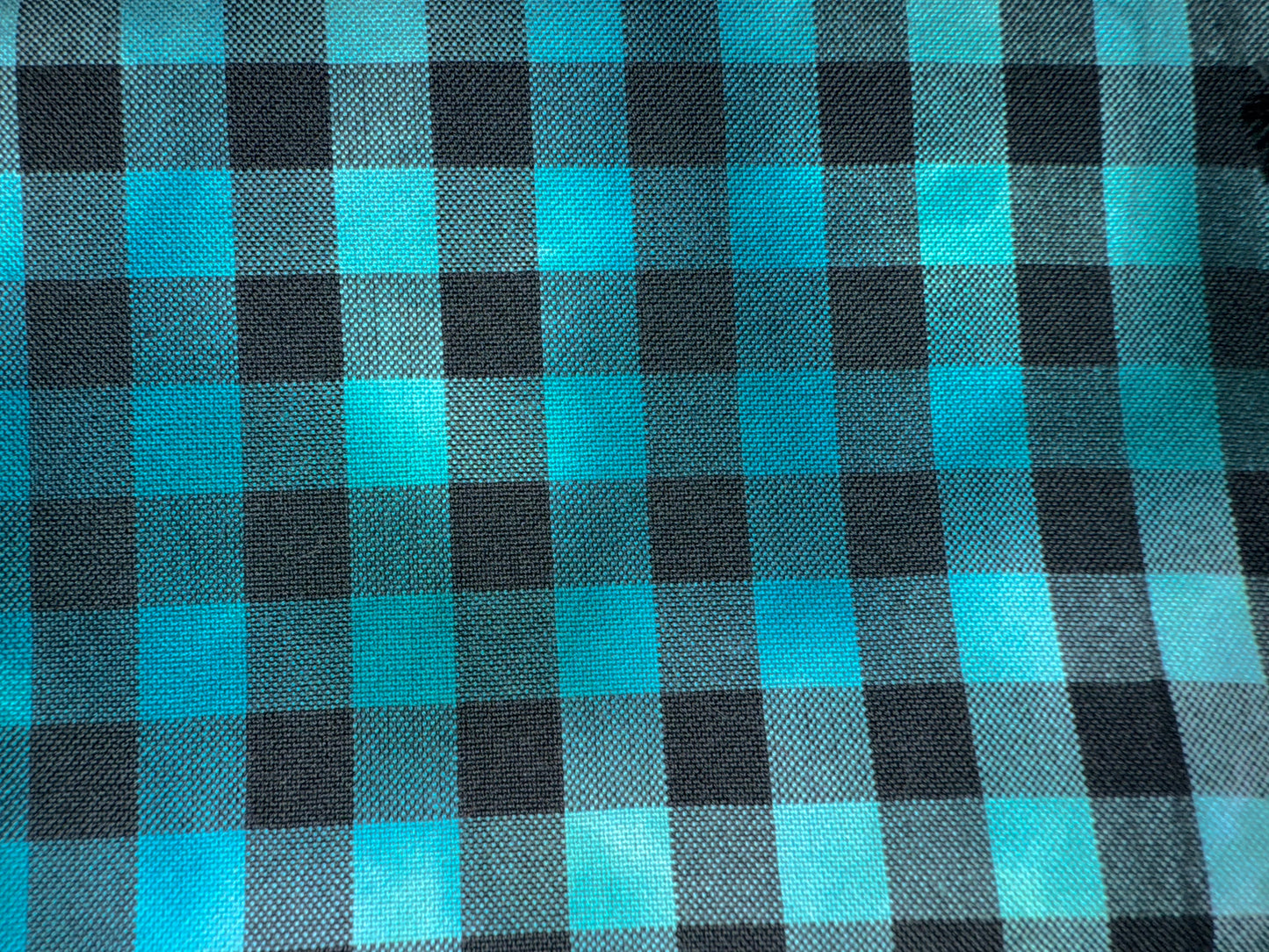 GINGHAM - overdye black print - 8 colors