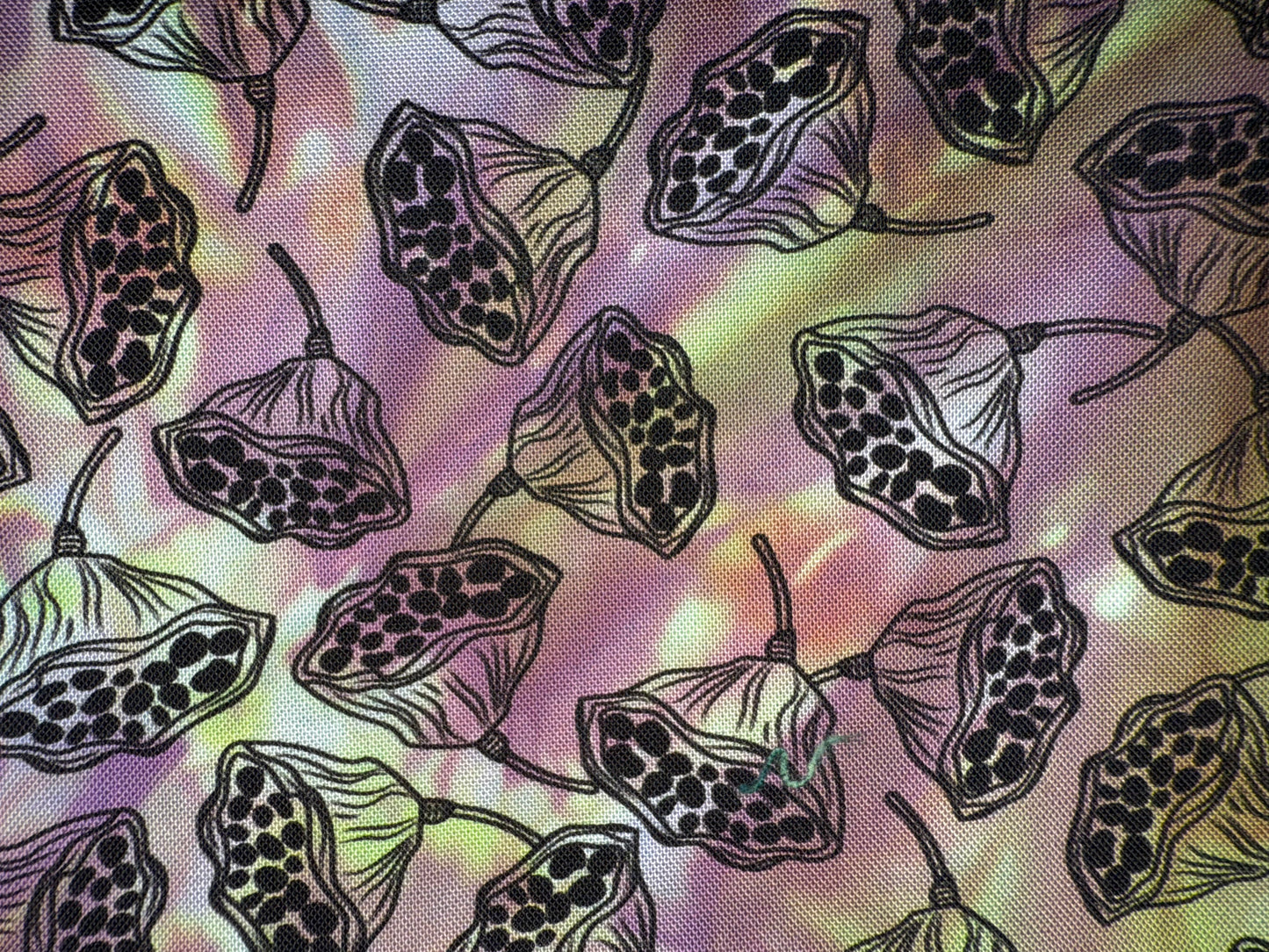 SEED PODS - overdye black print - FUNHOUSE COLLECTION - 4 colors