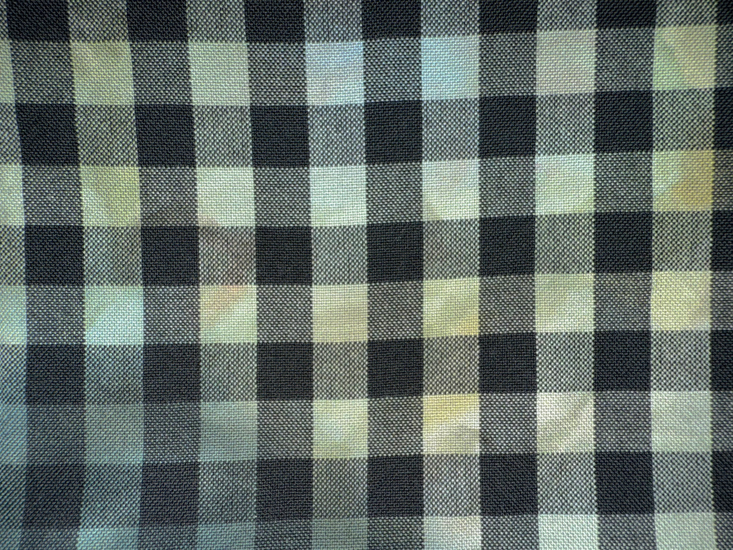 GINGHAM - overdye black print - 8 colors